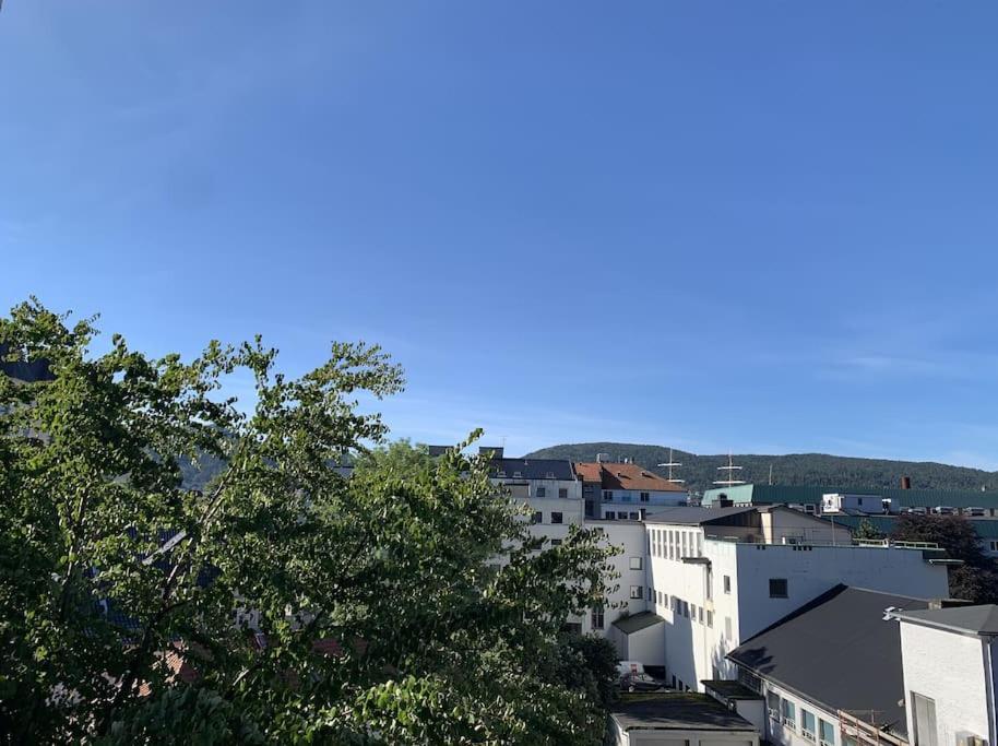 Lejlighed With Terrace & View *